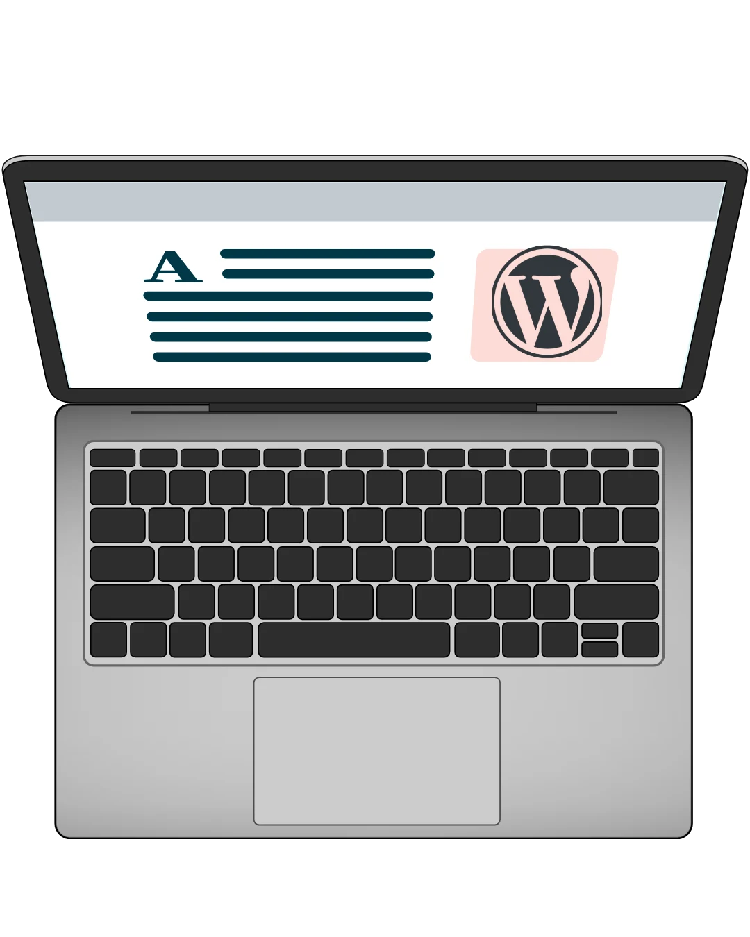 Wordpress developer and designer